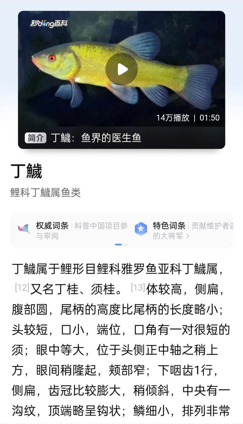 今日科普一下！后天电影高清免费观看完整版,百科词条爱好_2024最新更新